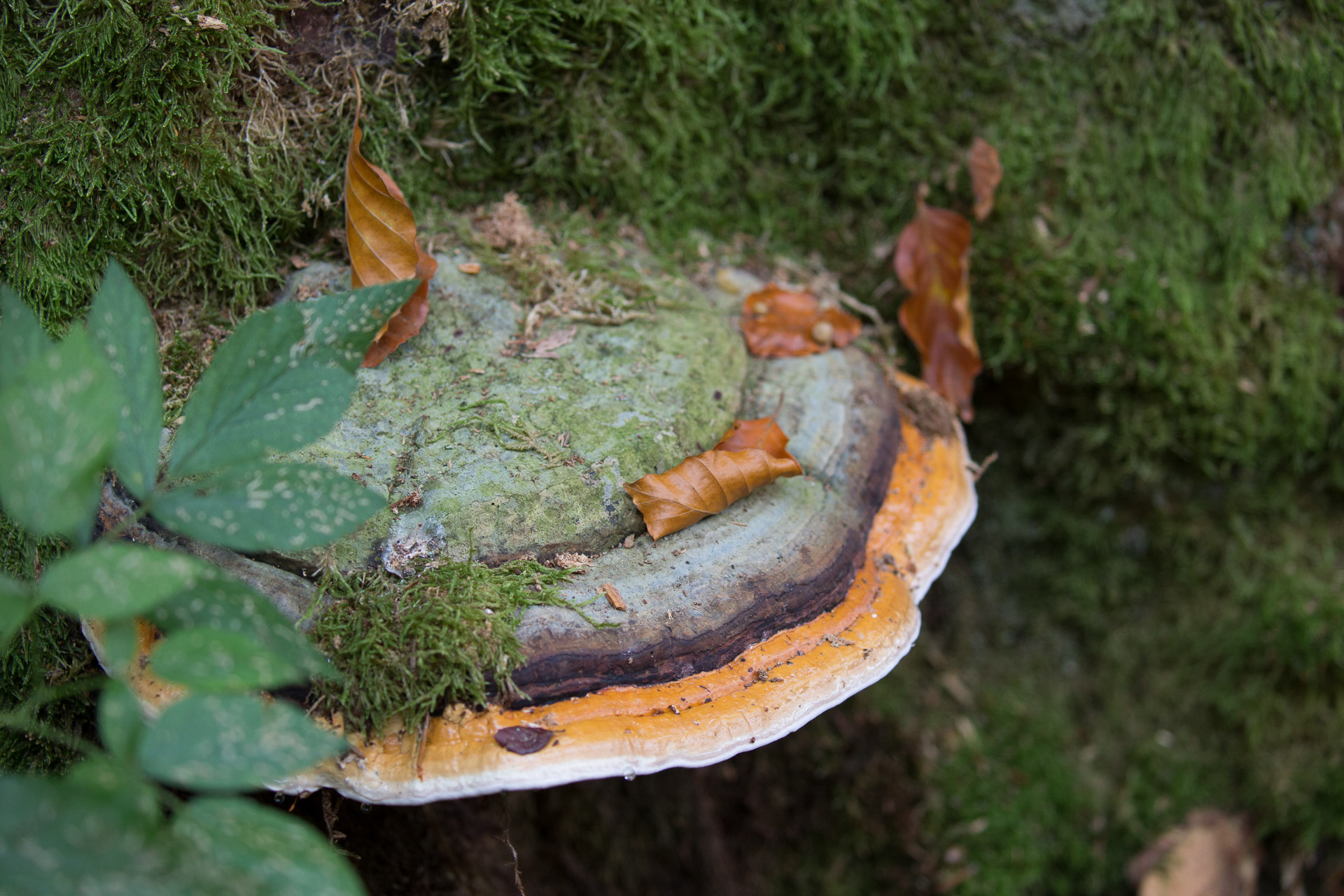 20231014100727 3K6A2194